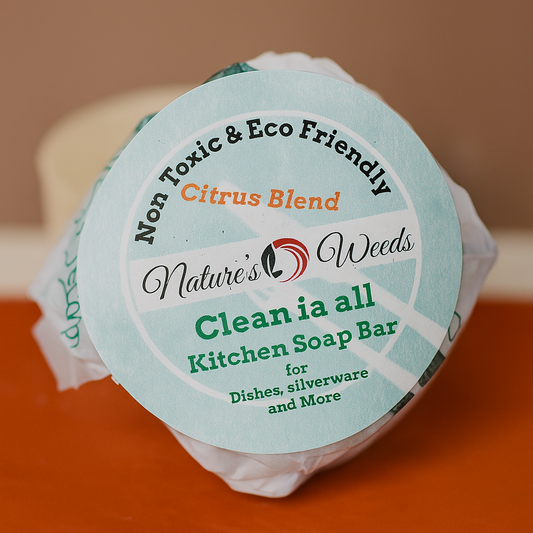 Solid dish soap bar in glass jar with coconut oil and citrus, biodegradable brush included